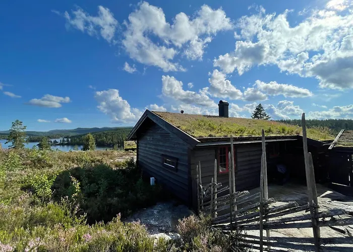 Koia - Flott Beliggenhet Ved Vannet Vegår Alpehytte *